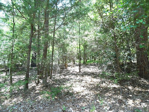 3rd image of 21 Dogwood Dr