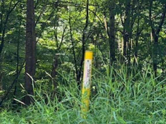 5th image of 138 Upper Ebbermans Dr