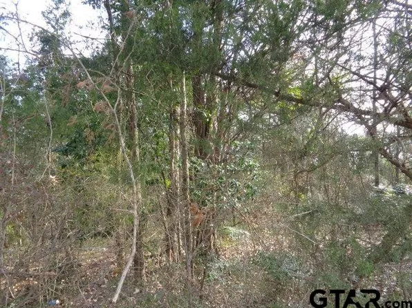 County Road 4870, Winnsboro, TX 75494