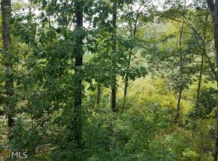 300 Ficklen Pl, Canton, GA 30114