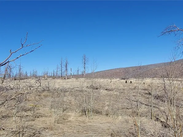 Lot 1566 Cary Lane LOT 1566, Fort Garland, CO 81133