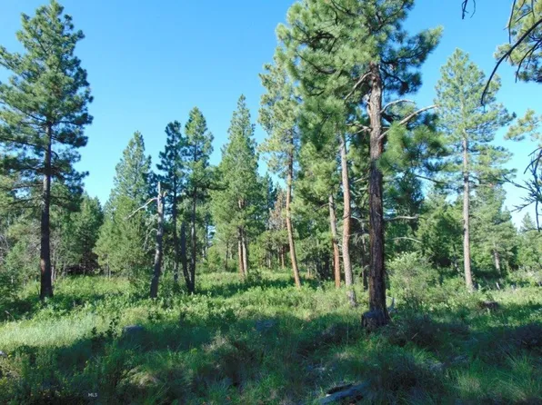 4615 Abe Lincoln Rd, Lincoln, MT 59639