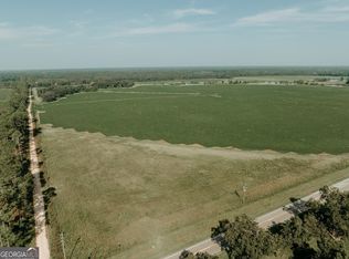 0 State Highway 55, Leary, GA 39862