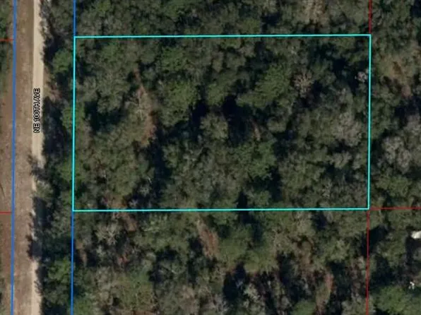 81 NE 100th Ave, Bronson, FL 32621