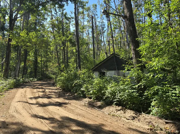 8563 Lewis Rd, Vanderbilt, MI 49795