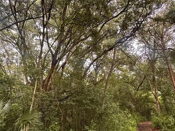 NE 30th Pl #29, Williston, FL 32696