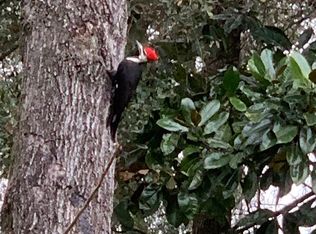 398 SW Bobcat Dr, Fort White, FL 32038