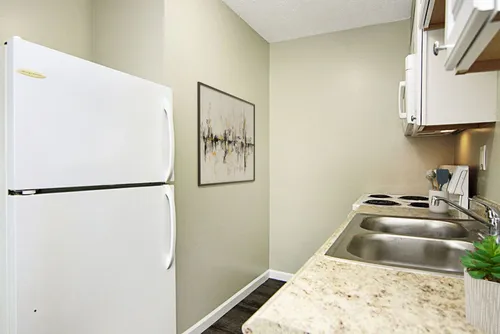 South Terrace Apartments: MOVE IN SPECIAL! Save Up to $1000! Newly Renovated Apartments Photo 1