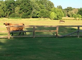 178 County Road 143 #A, Oxford, MS 38655
