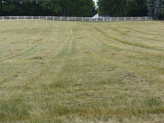 Looking W from the back