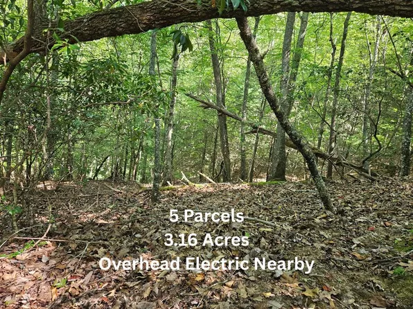 0 Pioneer Village Rd, Franklin, NC 28734