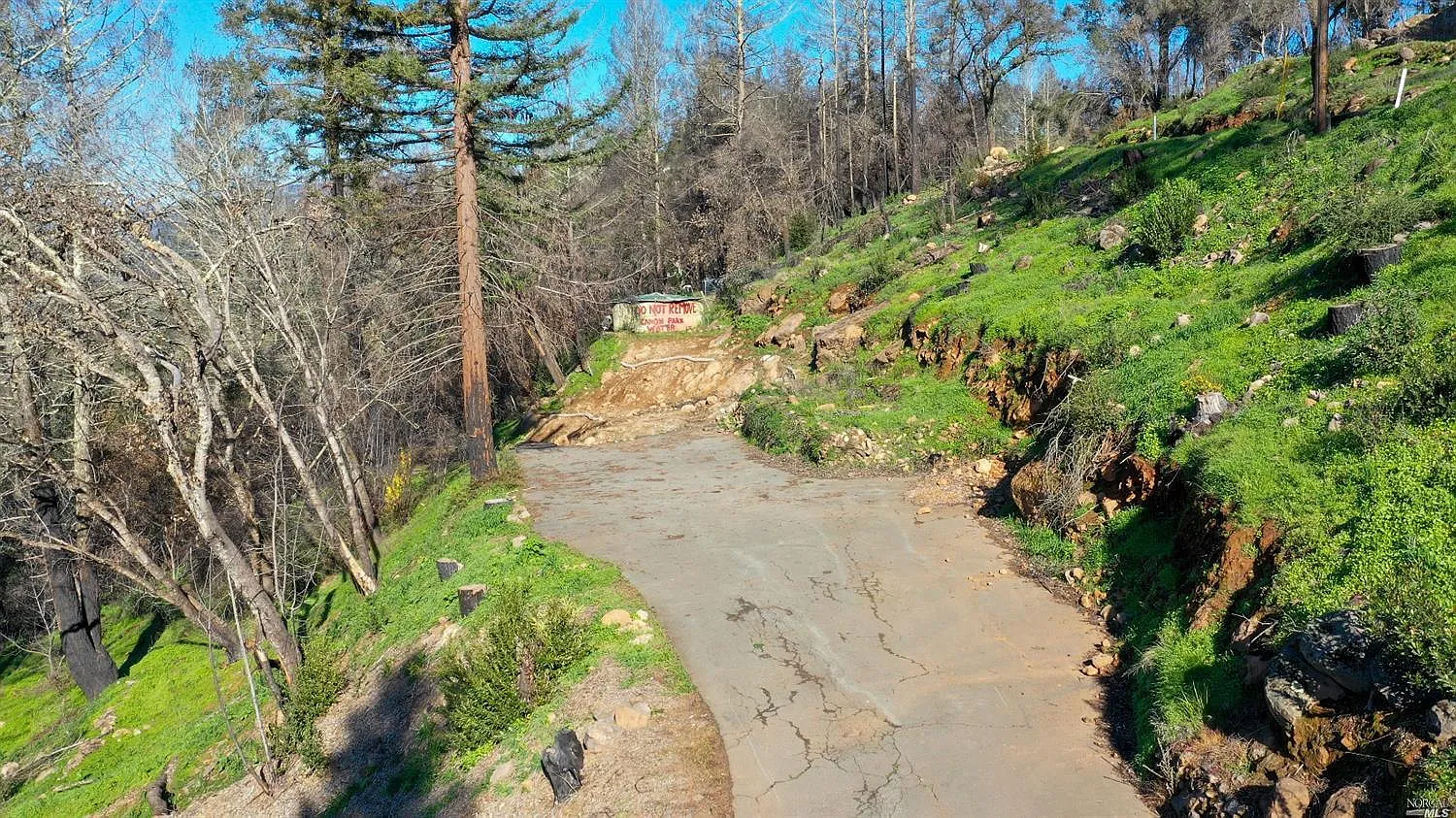551 Deer Park Rd photo 1