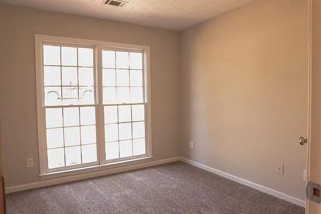 54 Lee Road 2095 — Photo 7