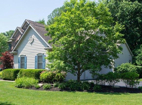 2nd image of 6001 Morganwood Sq