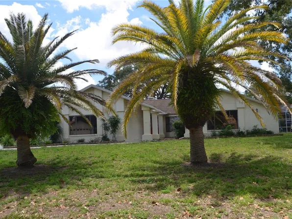 9429 Cobbler Ct, Weeki Wachee, FL 34613