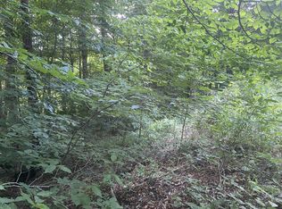 475 Northern Trl, Slatyfork, WV 26291