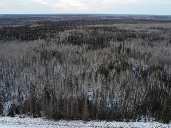 Tbd County Road 77, Littlefork, MN 56653