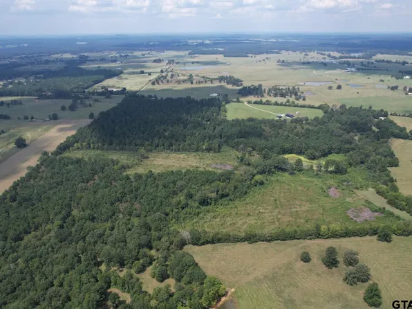 W Fm 1662, Laneville, TX 75667