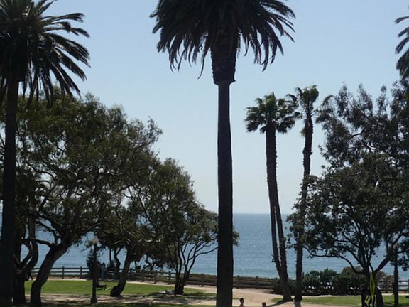 2nd image of 833 Ocean Ave APT 202