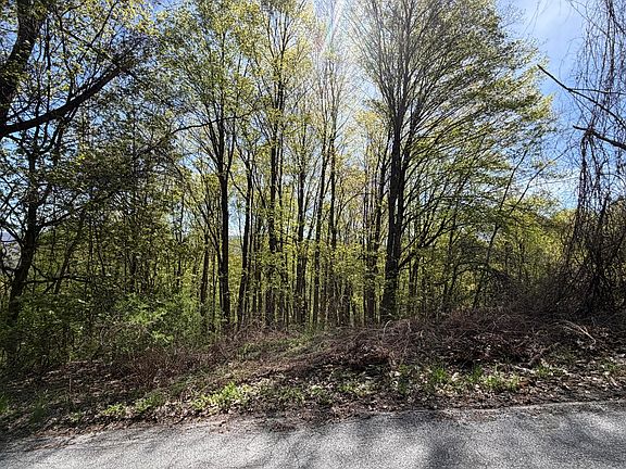 5th image of Lots 2a&3a Reservoir Rd