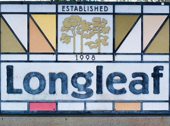 LONG LEAF