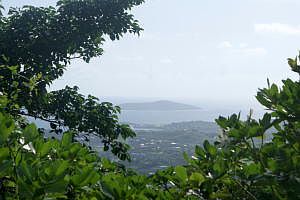 Views of Buck Island