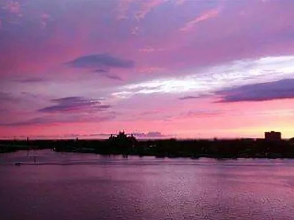 6265 Sun Blvd APT 806, Saint Petersburg, FL 33715