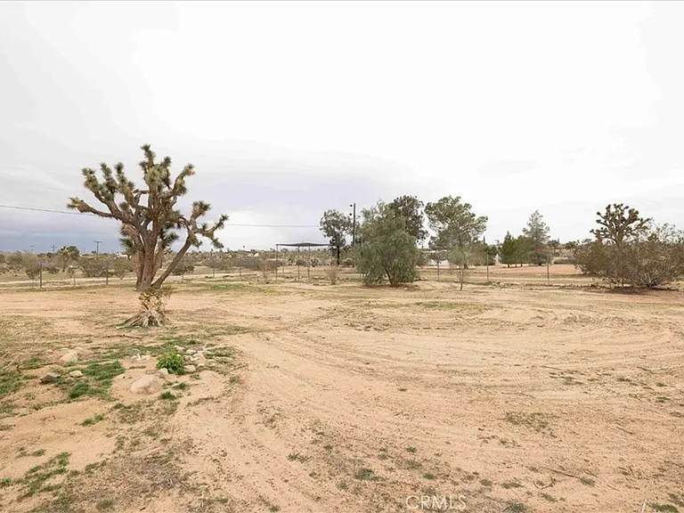 57726 Starlight Mesa Rd — Photo 71