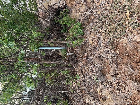 2nd image of 542-529 Little Valley Rd