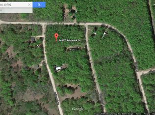 14577 Ashbrook Dr, Wolverine, MI 49799