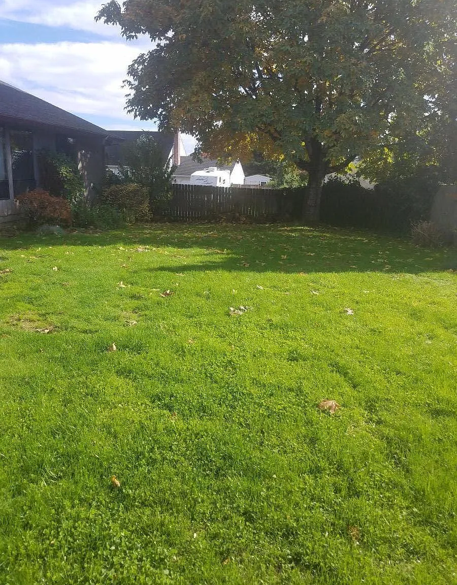 3 bed, 1.5 bath, 1550 sqft, $2,495 — Photo 3