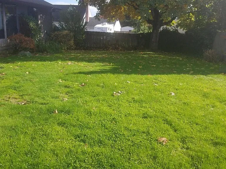 Fenced Backyard. Larger than typical as property is on corner lot.