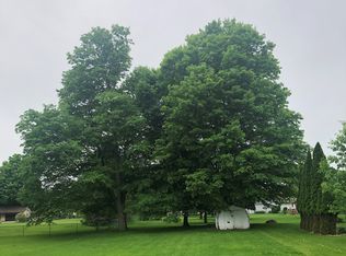 127 Grape St, Portland, MI 48875