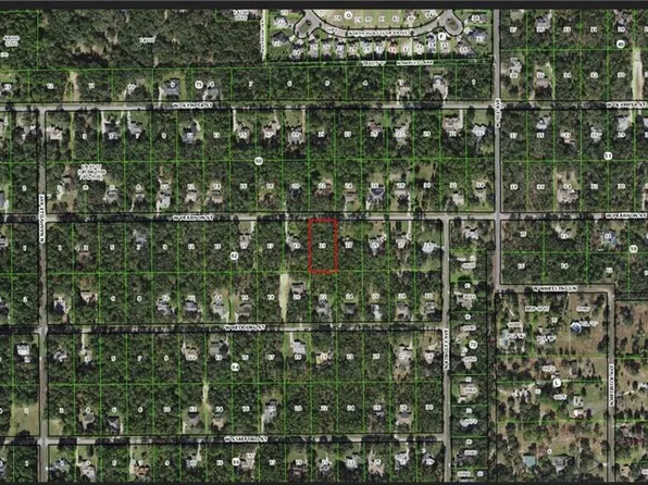 1188 W Pearson St, Hernando, FL 34442