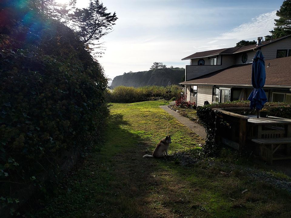 View toward the beach.