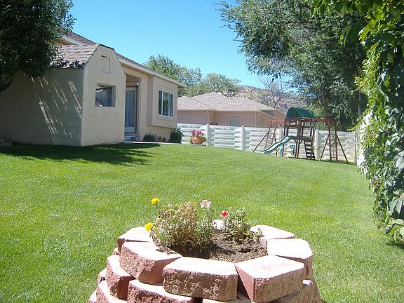 Backyard in Summer