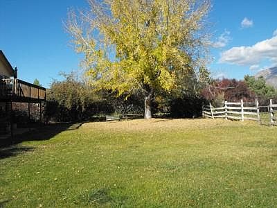 Back yard