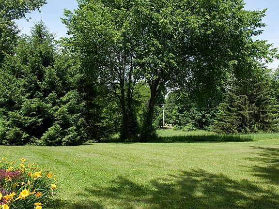 Beautiful Park-Like Setting