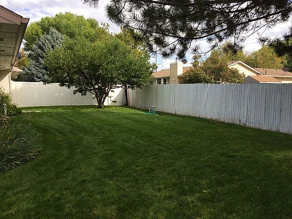 backyard with mature trees 