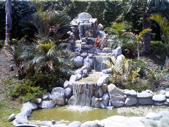 Waterfall and Koi Pond In Backyard