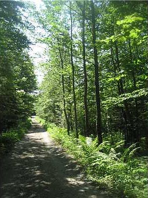 2nd image of 00 Upper Sylvan Street