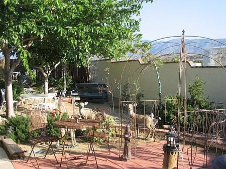 South Yrd - Sun Garden