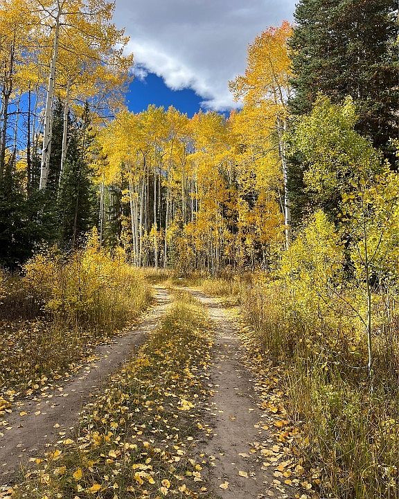 1st image of 20300 King Bolt Trail