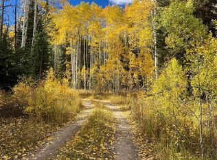 20300 King Bolt Trl, Oak Creek, CO 80467