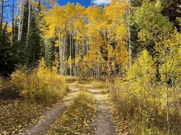 20300 King Bolt Trail, Oak Creek, CO 80467