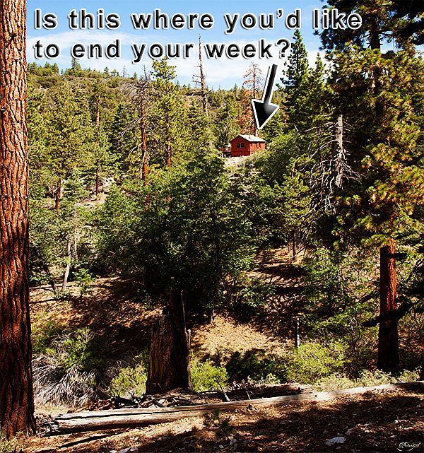 1st image of 3 Willow Glen Trl