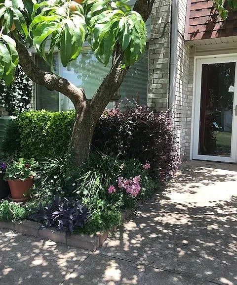 220 Justin Dr — Photo 4