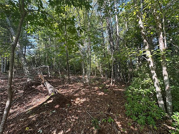 5th image of 219 Long Cove Ct