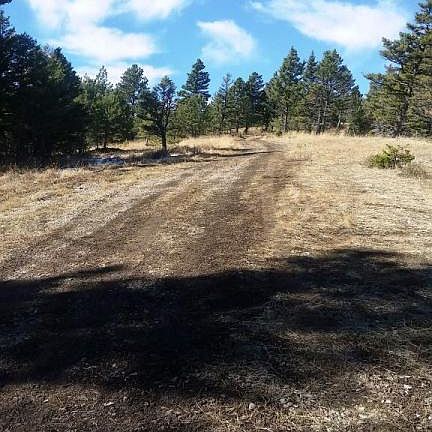 3rd image of 37 Arrowood Limestone Canyon Est