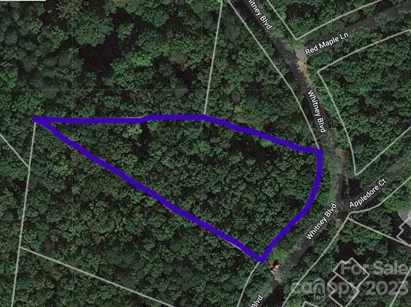 6 Whitney Blvd, Lake Lure, NC 28746